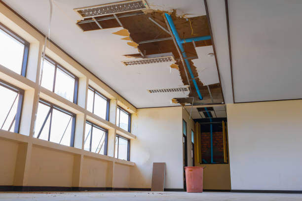 Best Ceiling water damage repair  in Cookeville, TN