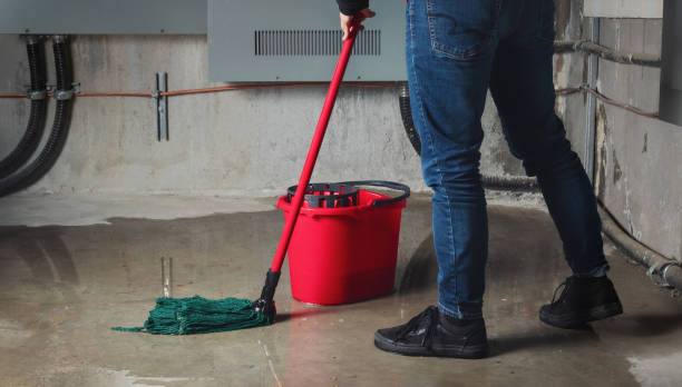 Best Water damage repair service  in Cookeville, TN