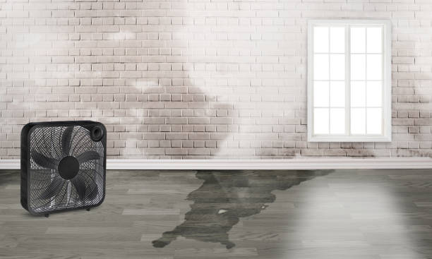 Best Flood restoration services  in Cookeville, TN