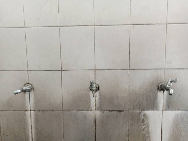Best Water damage restoration services  in Cookeville, TN