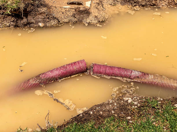 Best Carpet water damage restoration  in Cookeville, TN